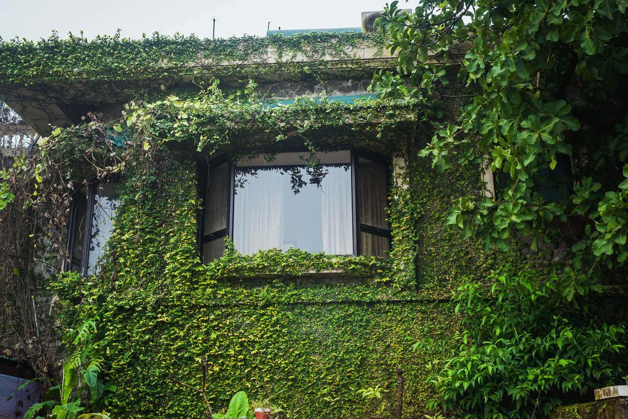 Upper Deck Resort - Stay And Relax At The Highest Peak Lonavala Dış mekan fotoğraf